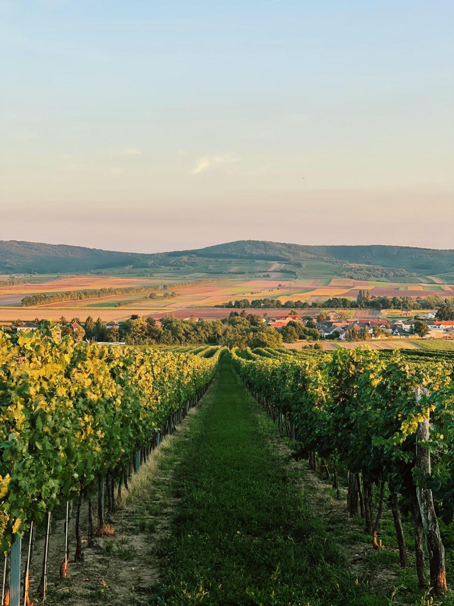 Schoenhof Im Weinviertel *